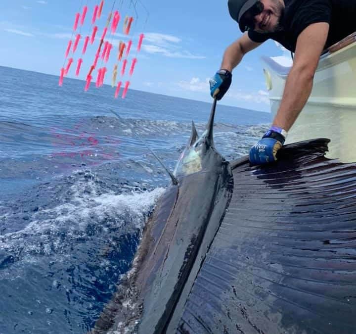 Marlin Package Costa Rica  Fishing Costa Rica Experts