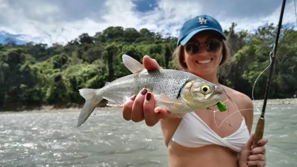 Fly Fishing in Costa Rica – La Pura Vida - Douglas Outdoors