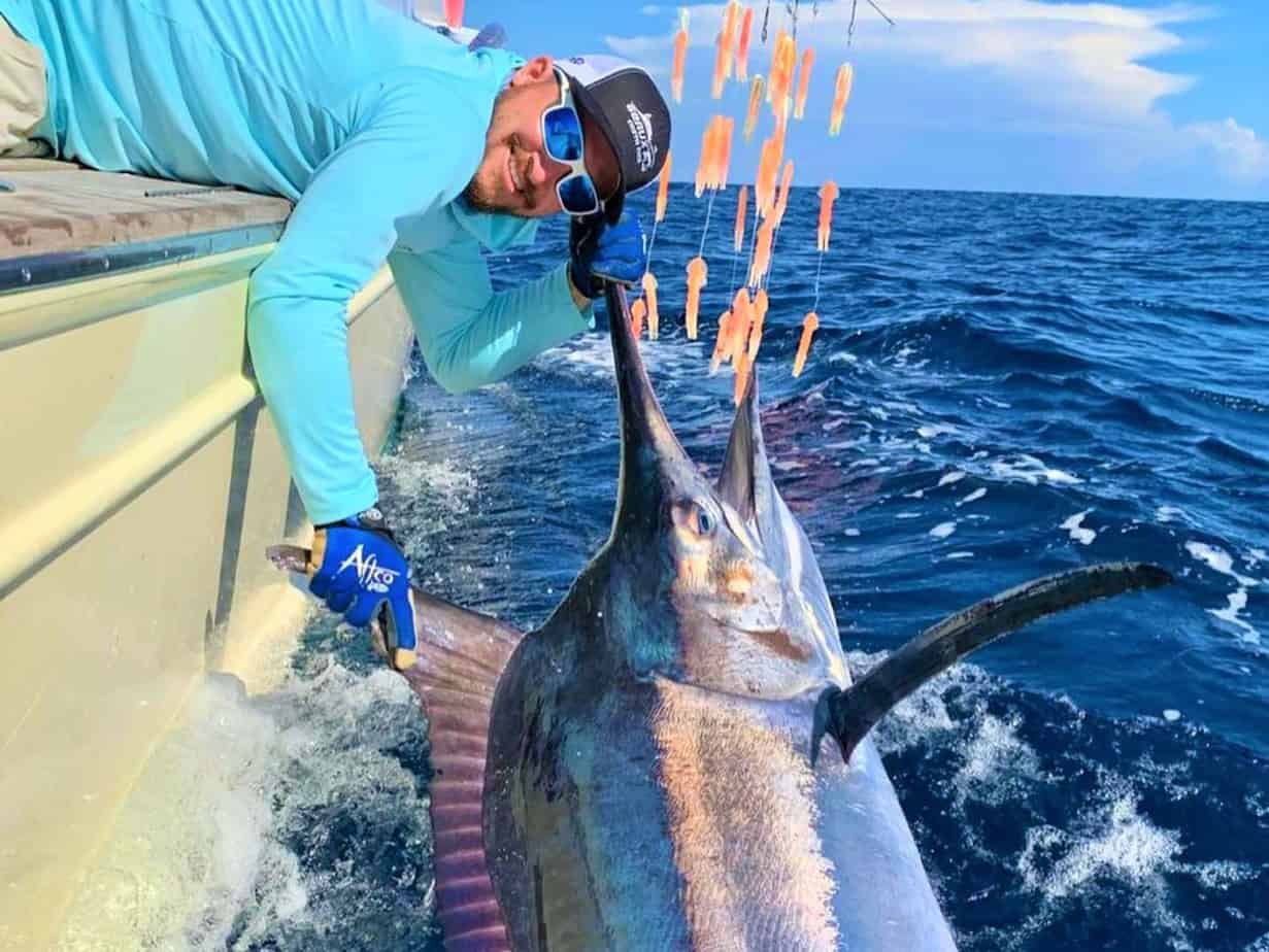 Catch and release of a big marlin in Costa Rica