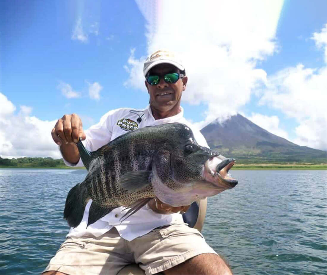 https://www.centralamericafishing.com/wp-content/uploads/2023/09/A-Man-holds-Rainbow-Bass-Fish-img-1100x924-1.jpg