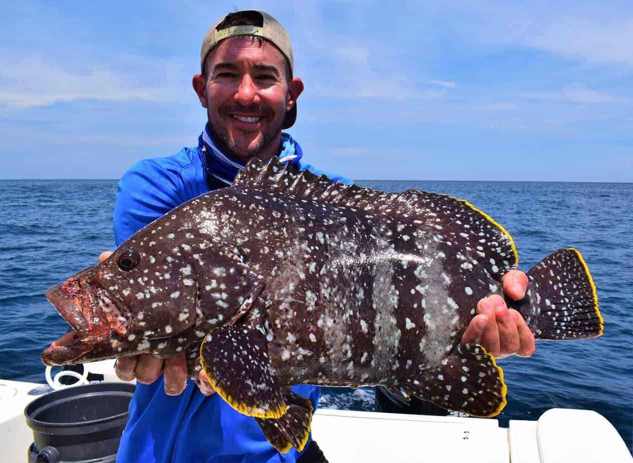 The Six Tastiest Fish in Central America img | Central America Fishing